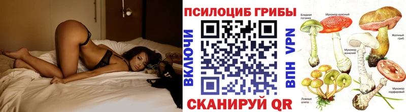 Галлюциногенные грибы Psilocybine cubensis цена Спас-Деменск